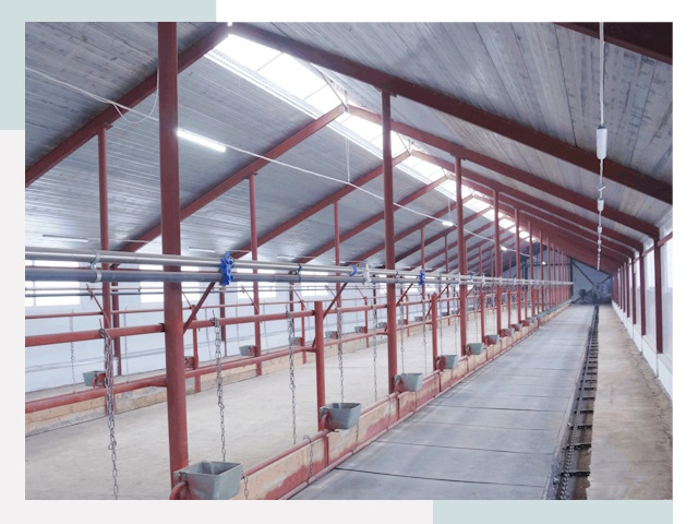 Строительство коровников в Ахтубинске от 621 руб.