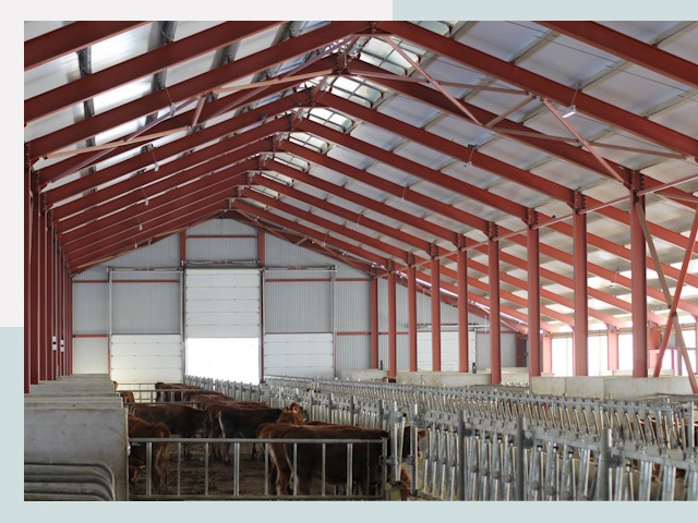 Строительство коровников в Ахтубинске