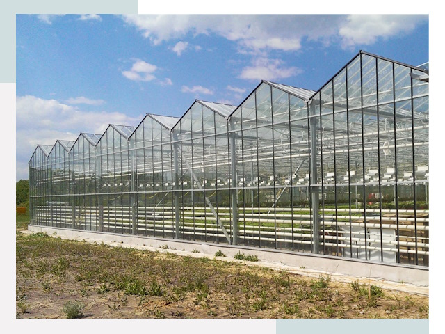Строительство теплиц в Ахтубинск от 621 руб. за м²