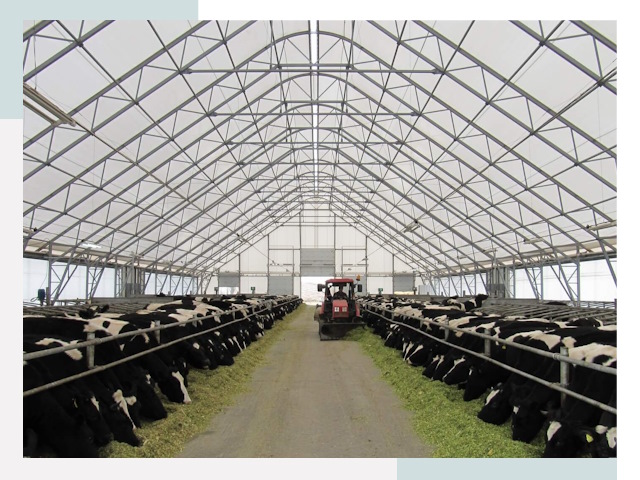 Тентовые коровники в Ахтубинске от 621 руб. - Надежно и доступно