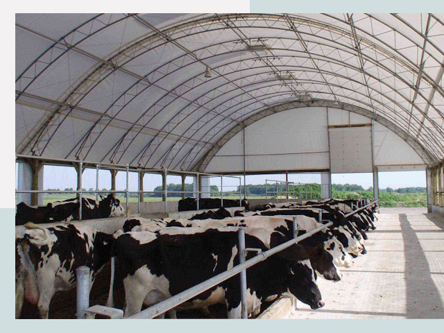 Тентовые коровники в Ахтубинске